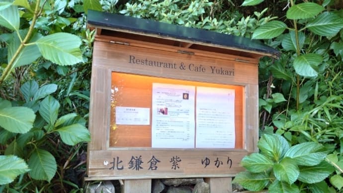 北鎌倉”紫 ゆかり”でランチ