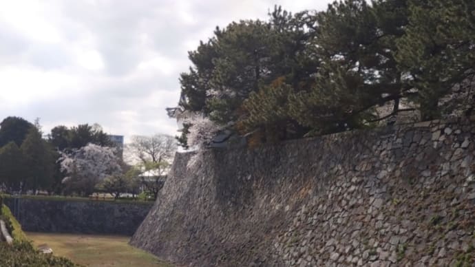 去年ですがもう過去のものになりました