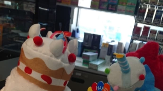 ブールリハビリを再開