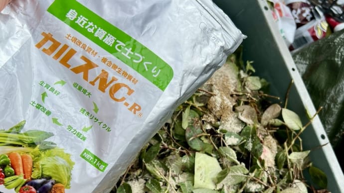 入れちゃダメ!カルスNC-Rでプランターの土再利用〜入れたら後悔する植物残さワーストワン