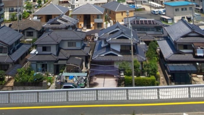 バ―チャル高校野球>生観戦