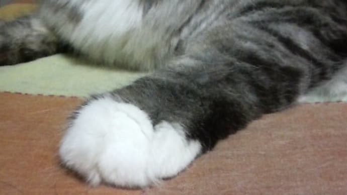 手が先に出るうる