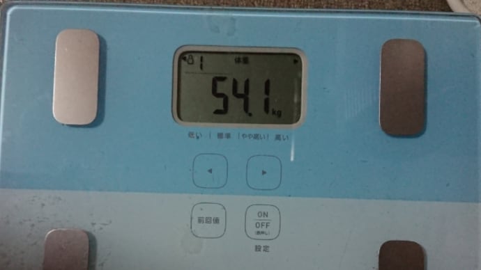 ダイエット310日目