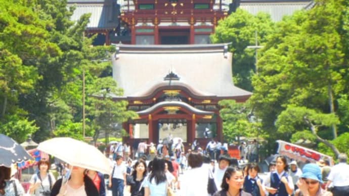 鎌倉散策① /鶴岡八幡宮