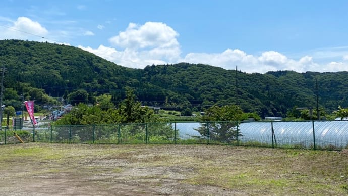 リベンジ成功! 大満足のさくらんぼ狩りin沼田