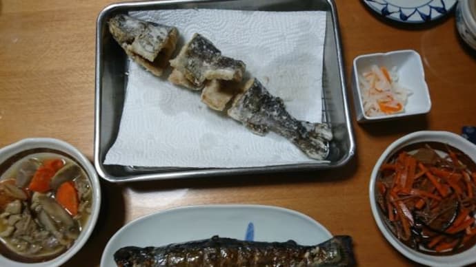 リバースポット早戸で連休を楽しむ
