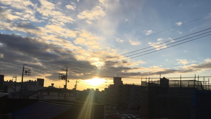 今日は冬至です