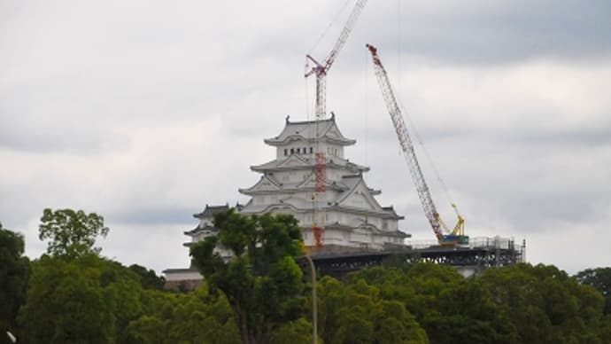 今日の姫路城 (2014.6.28)