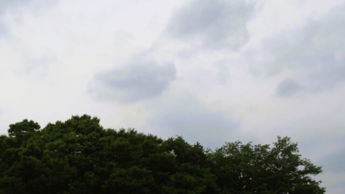 雨の一日・・・