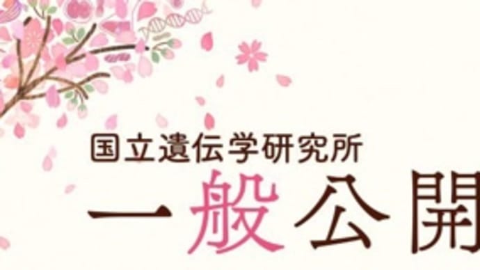 今年は、行ってみたい〜♪