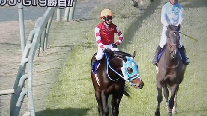 オジュウチョウサン前人未到のJ・GⅠ9勝