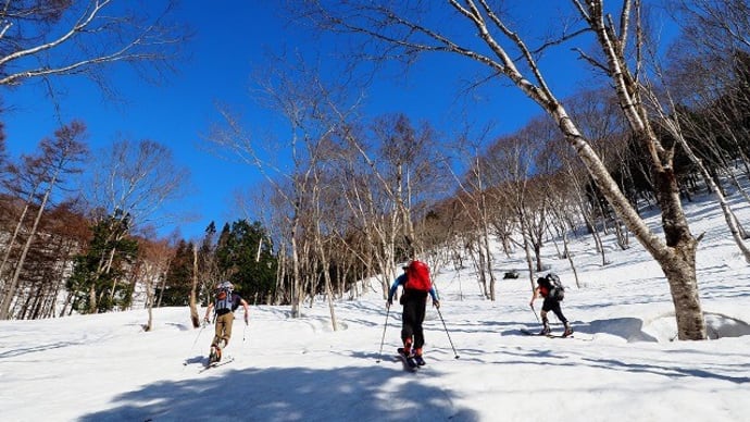 村山葉山 畑~奥の院~大ツボ石沢~大僧森~大僧森沢~畑 2023.04.02