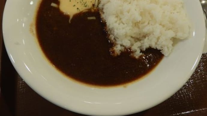すき家　135号熱海店　[熱海市]　/　とろ～りチーズカレー(2辛)