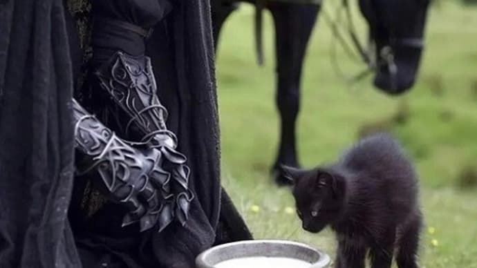 A Nazgul With A Heart Of Gold? Hmmmm. 😀😂😇😈🧝♂️👹🐴🐎🦇🦅🐱🐈🐲🐉🥰