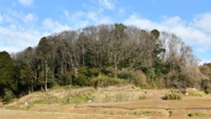 2023年1月22日 晴天なれど寒風吹く森