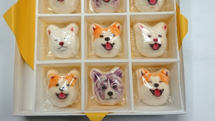 秋田犬のマシュマロ&しずかちゃん家に寄り道&キャンピングカーショー🚙等いろいろ😁