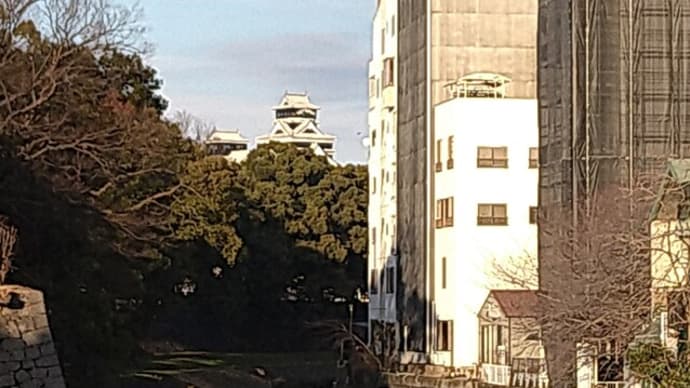 ピークアウトはいつなの?
