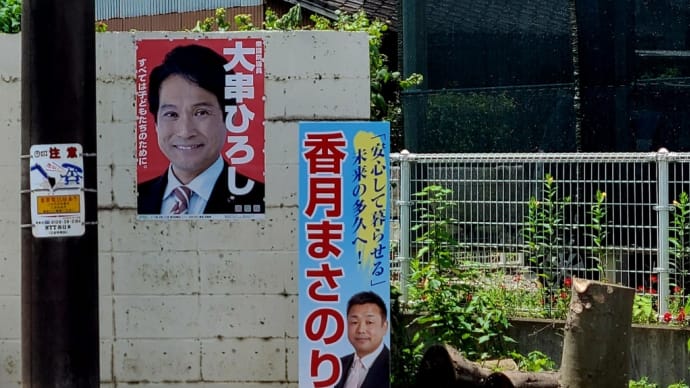 2024.07.22 雨が上がり草も元気いっぱい
