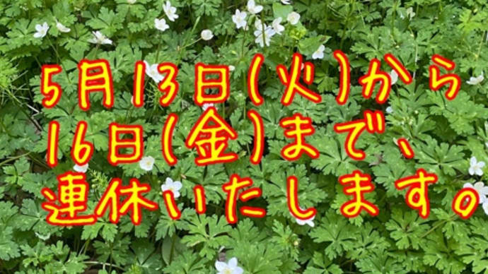 5/13(火)〜16(金)、連休いたします。