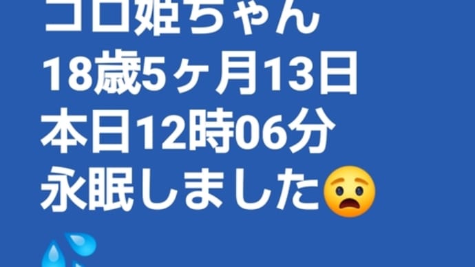 永眠しました😧💦