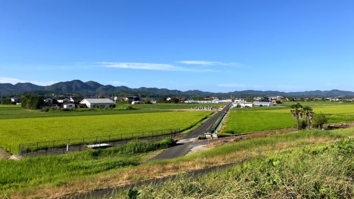 久しぶりのサイクリングを・・・