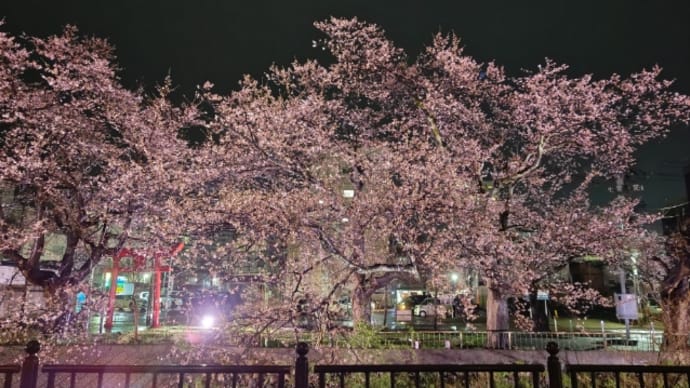 花火の火薬が無いって