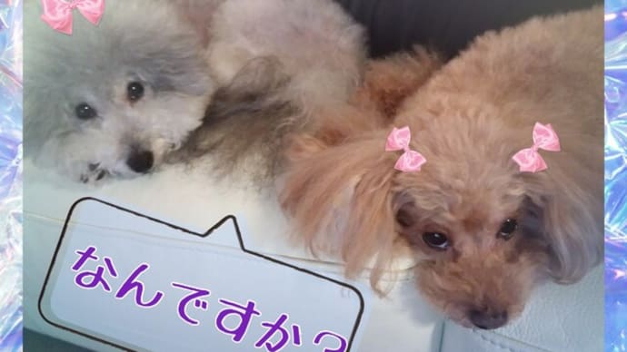 サマーキャンペーンもうすぐ終了です!!