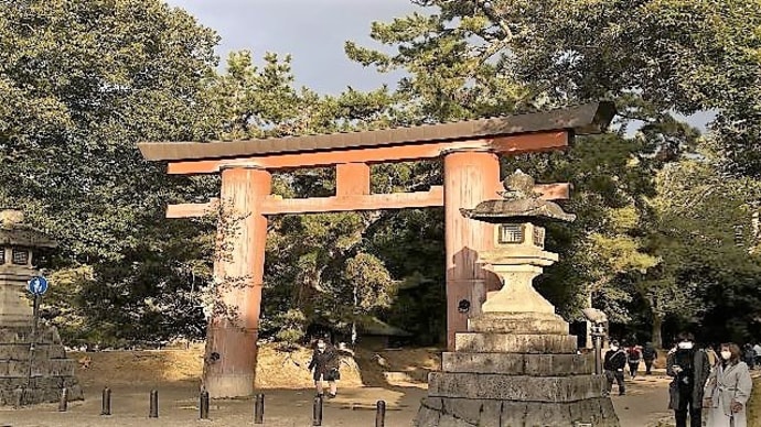 若草山焼き2023