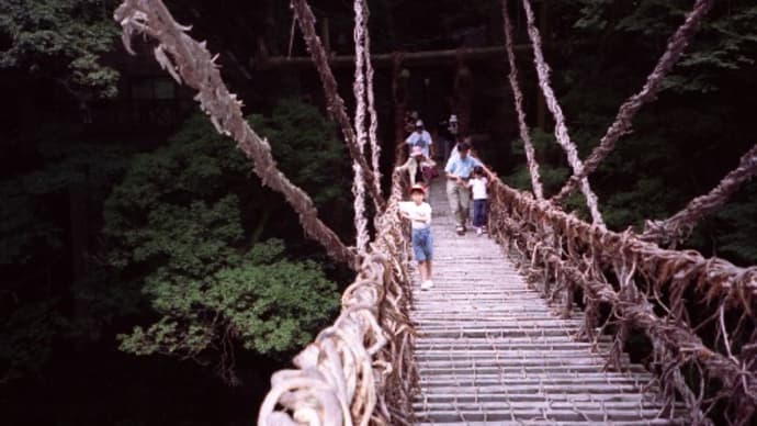 こわ過ぎ～!!秘境・祖谷のかずら橋☆