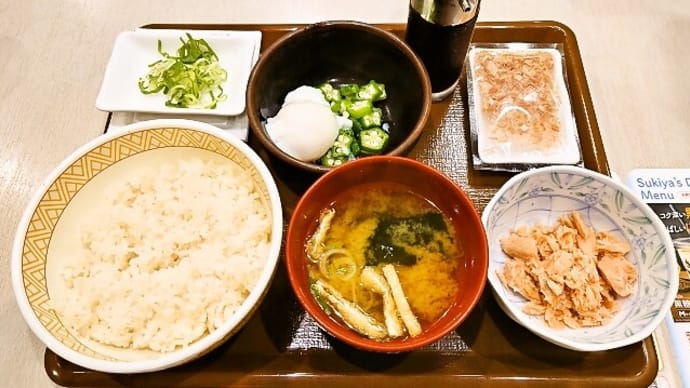 すき家（浦安駅前店）で納豆・鮭まぜのっけ朝食（2022年10月23日）