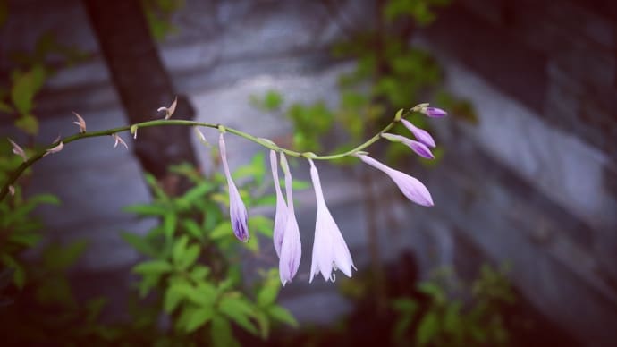 楽しく実り多い週末を。🙋♂️✨🌸🙂☘️🎶