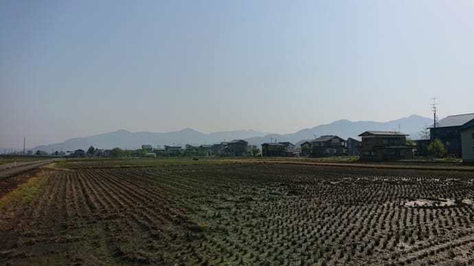 散歩にて