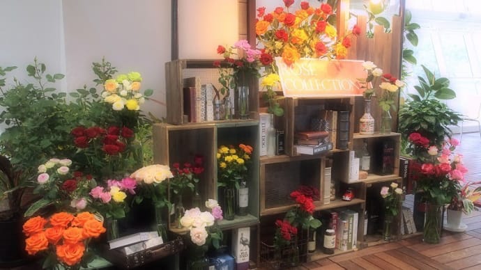 ROSE COLLECTION