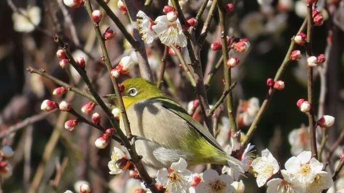 春は名のみ