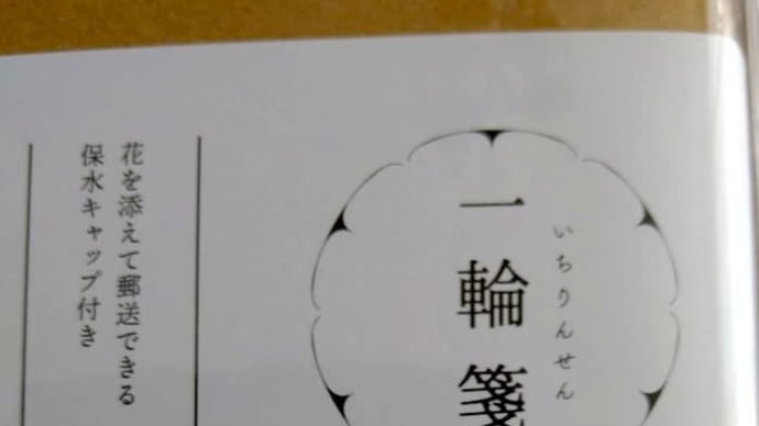 一輪箋　いちりんせん