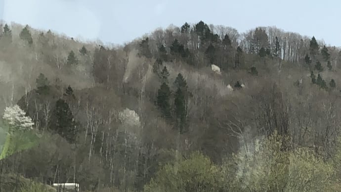 北国の春〜♪、、、。