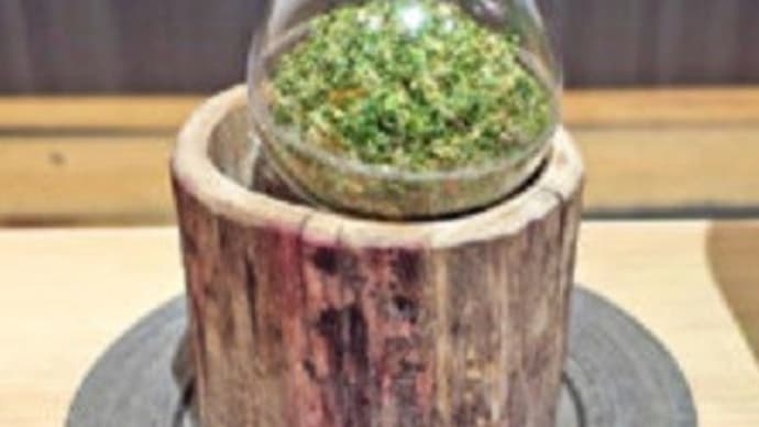 9月11・12日 杉玉ポテトサラダ試作と純米吟醸 花吹雪