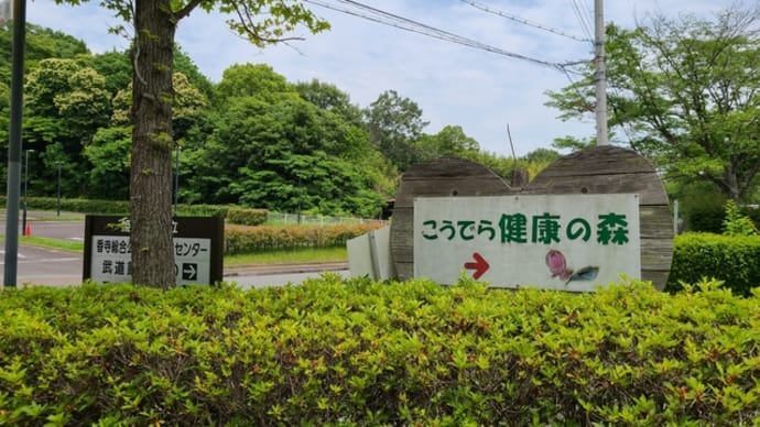 今日の散歩は・・