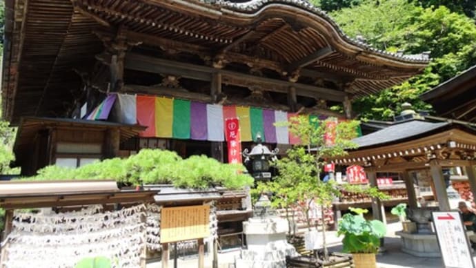 西国三十三所札所めぐり~第七番 東光山 岡寺(龍蓋寺)