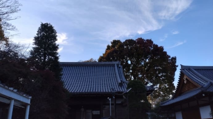 今日は母の一周忌で