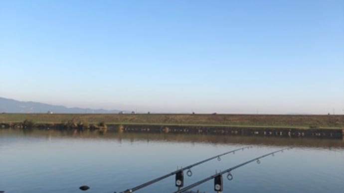 11月3日の鯉釣り