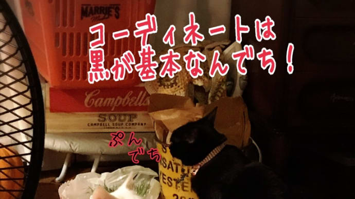 三色三つ巴…☆