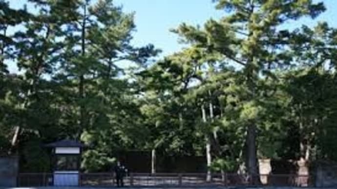葉山一色慕情 オリジナル作詞・作曲