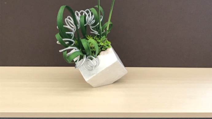 190511 5月 第1回 ハナショウブ 他