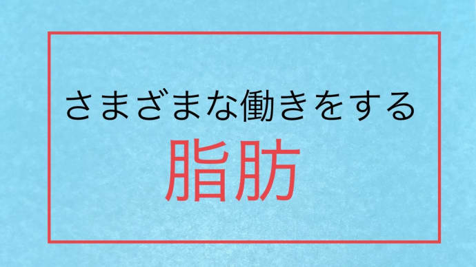 さまざまな働きをする脂肪