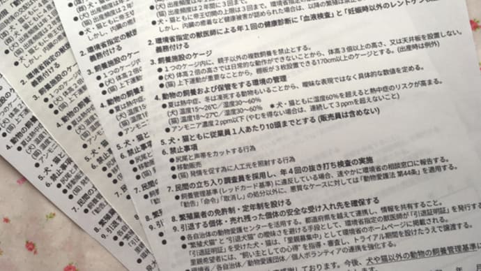 嘆願書アクション☆動物愛護法改正 数値規制