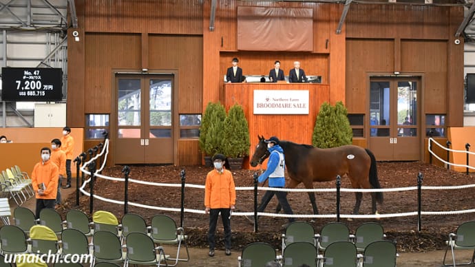 【ノーザンファーム繁殖牝馬セール2021】の上場馬一覧が発表