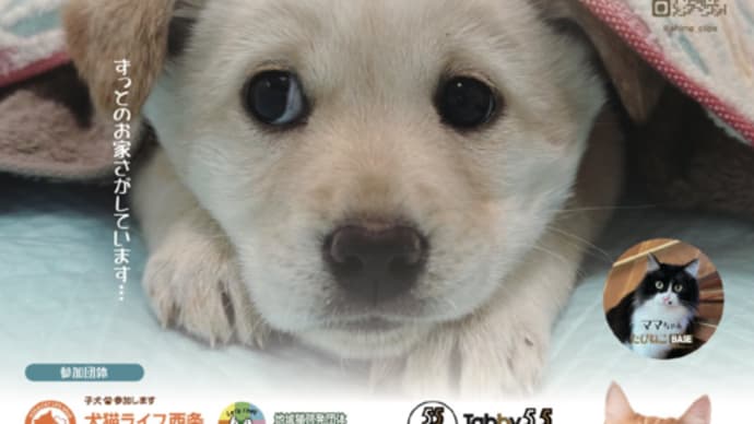 2024年3月24日（日曜日）イオン松山にて保護犬猫譲渡会　開催します！