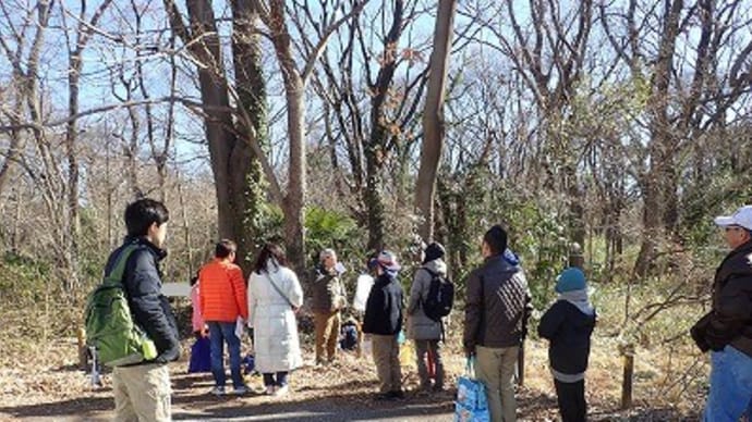 親子でワンダー「冬のクワガタさがし」