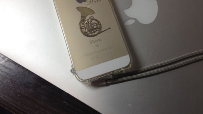 iPhoneで初FaceTime